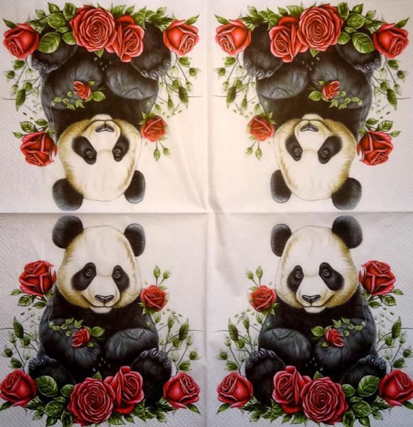 086 Teddy - 4 ply - Sniff Handkerchief
